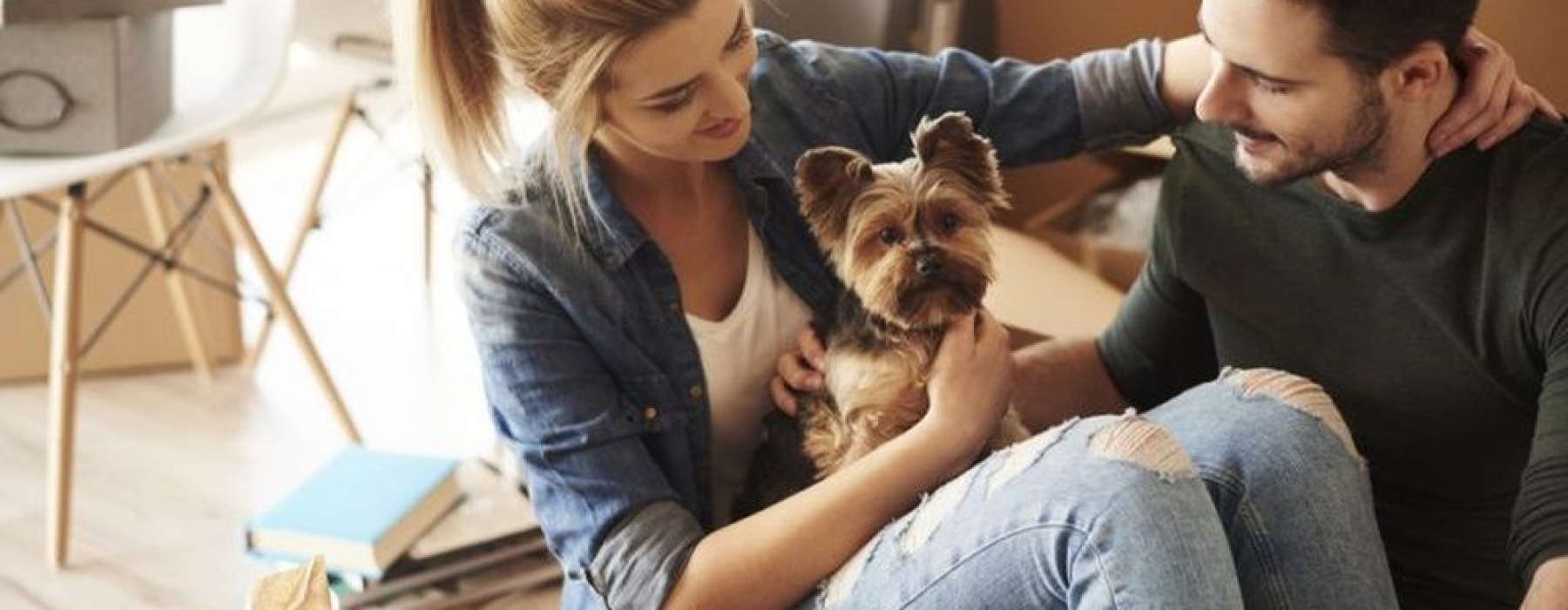 a man and a woman holding a dog