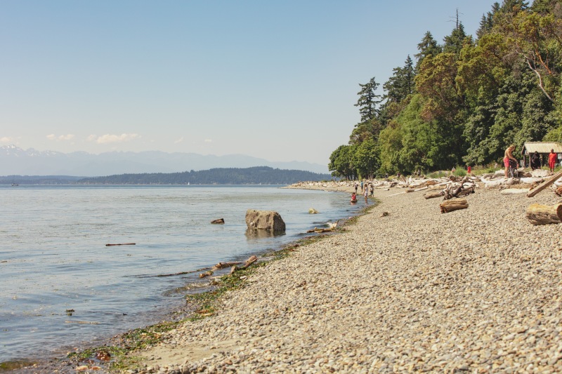 a beach with people and trees