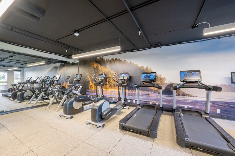 Apartment fitness center with treadmills, ellipticals, and stationary bikes facing a wall mural of a scenic forest and shoreline.